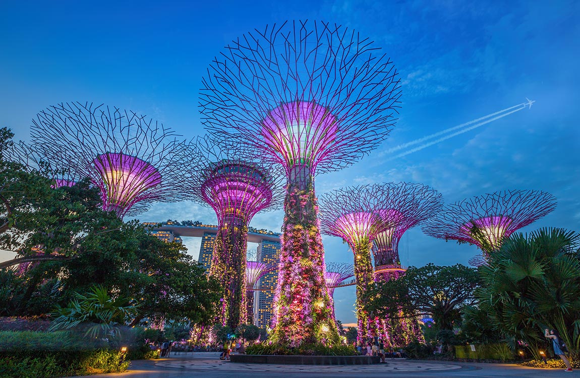 Night view of Singapore's Supertree Grove at Gardens by the Bay, a nature park spanning 260 acres 