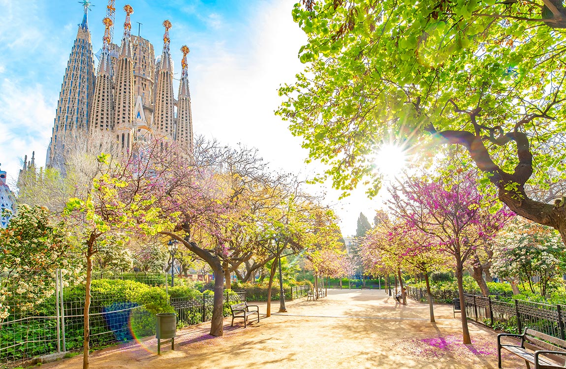 Tree-lined park street in Barcelona, with a huge cathedral in the background 