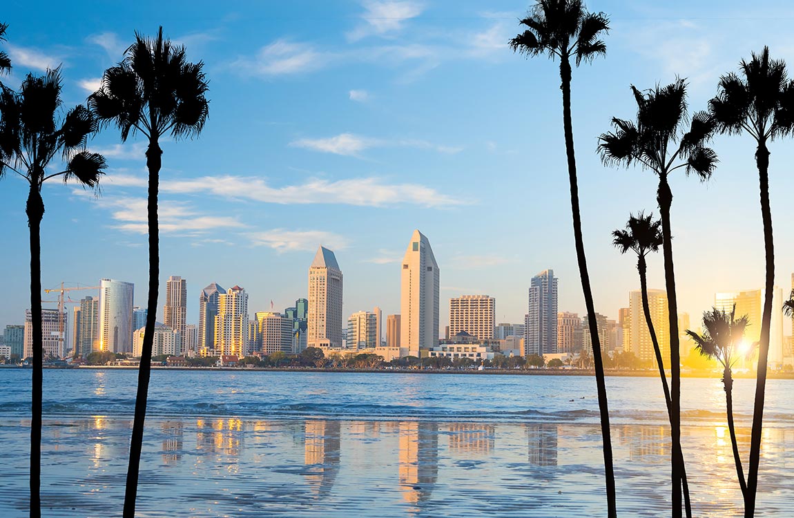 Downtown San Diego, California skyline as seen over the ocean at sunrise, with large palm trees in the foreground 